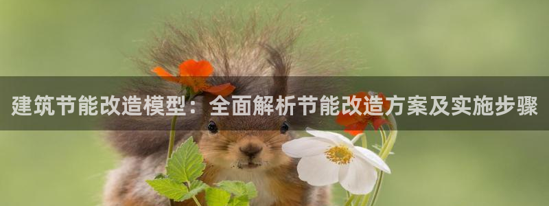 e尊国际官网·网址：建筑节能改造模型：全面解析节能改造方案及实施步骤