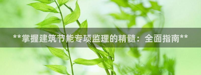 尊亿游戏国际官网：**掌握建筑节能专项监理的精髓：全面指南**