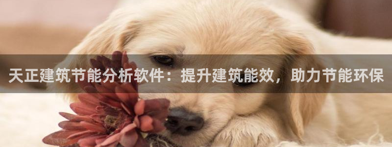 e尊国际客服：天正建筑节能分析软件：提升建筑能效，助力节能环保