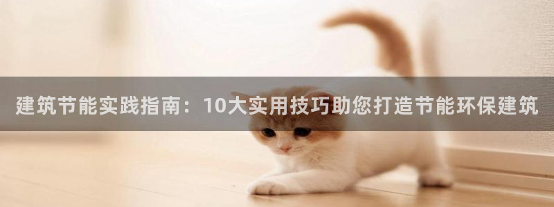e尊国际平台：建筑节能实践指南：10大实用技巧助您打造节能环保建筑