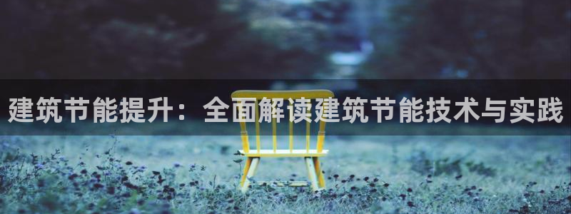 e尊国际app：建筑节能提升：全面解读建筑节能技术与实践