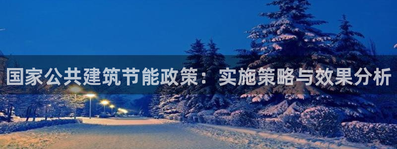 E尊国际网站：国家公共建筑节能政策：实施策略与效果分析