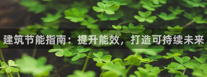 e尊国际客服：建筑节能指南：提升能效，打造可持续未来