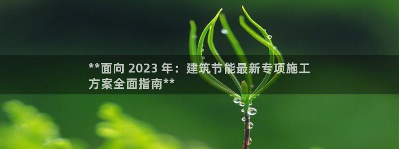 e尊国际官网·网址：**面向 2023 年：建筑节能最新专项施工
方案全面指南**