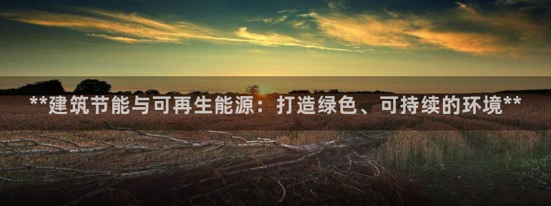 e尊国际官网·网址：**建筑节能与可再生能源：打造绿色、可持续的环境**