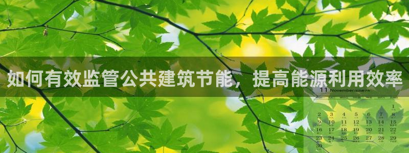 e尊国际平台：如何有效监管公共建筑节能，提高能源利用效率