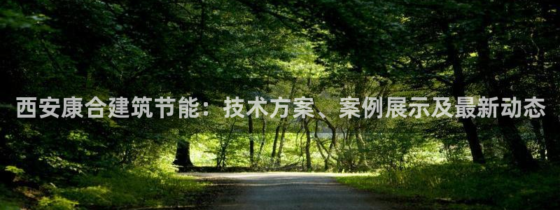 e尊国际可靠吗：西安康合建筑节能：技术方案、案例展示及最新动态
