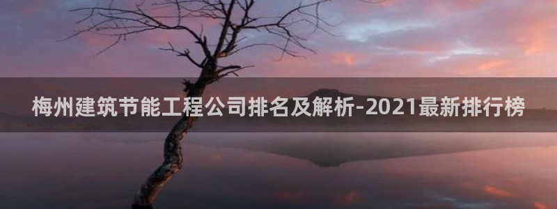 尊亿游戏国际官网：梅州建筑节能工程公司排名及解析-2021最新排行榜