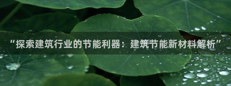 E尊国际网站：“探索建筑行业的节能利器：建筑节能新材料解析”