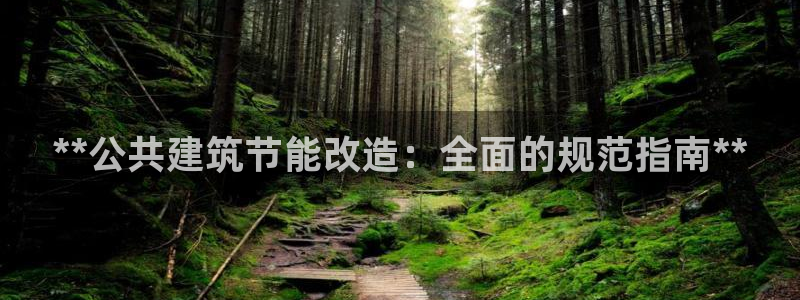 e尊国际客服：**公共建筑节能改造：全面的规范指南**