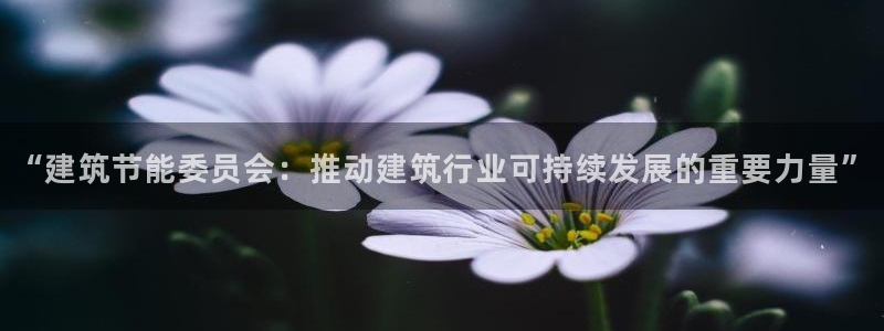 e尊国际平台：“建筑节能委员会：推动建筑行业可持续发展的重要力量”