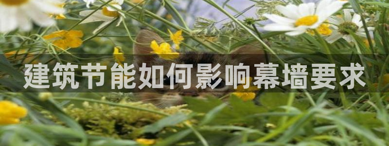 e尊国际的手机登录网站：建筑节能如何影响幕墙要求