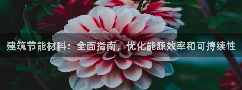 e尊国际地址：建筑节能材料：全面指南，优化能源效率和可持续性