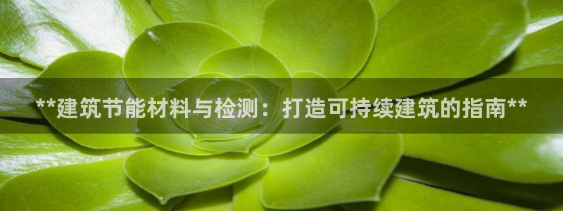 e尊国际平台：**建筑节能材料与检测：打造可持续建筑的指南**