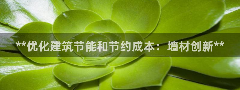 e尊国际7779：**优化建筑节能和节约成本：墙材创新**
