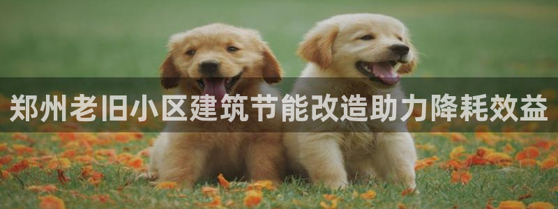 E尊国际：郑州老旧小区建筑节能改造助力降耗效益