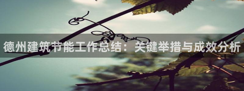 e尊电竞：德州建筑节能工作总结：关键举措与成效分析