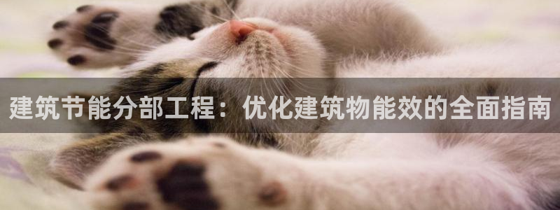 e尊国际官方网站：建筑节能分部工程：优化建筑物能效的全面指南