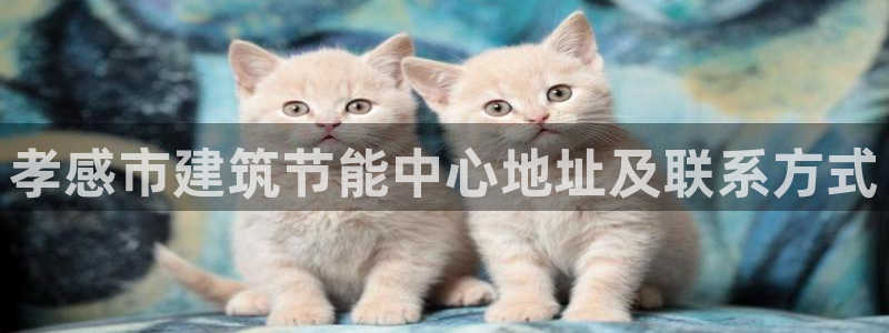 谁知道e尊国际的网址：孝感市建筑节能中心地址及联系方式