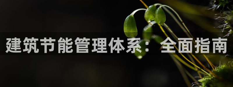 e尊国际地址：建筑节能管理体系：全面指南
