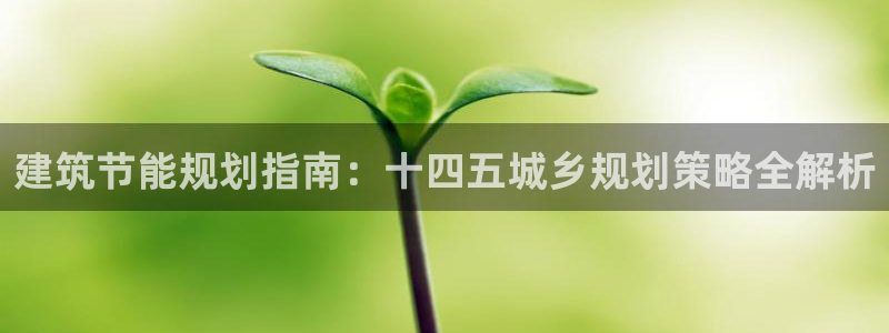 e尊国际网址：建筑节能规划指南：十四五城乡规划策略全解析