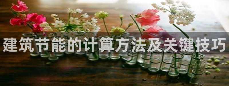 e尊国际-可可计划