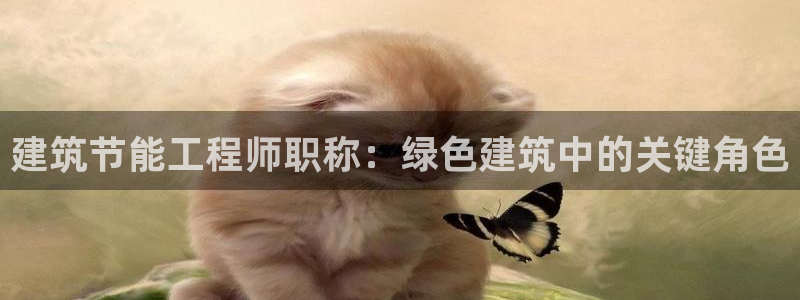 e尊国际是干什么的：建筑节能工程师职称：绿色建筑中的关键角色