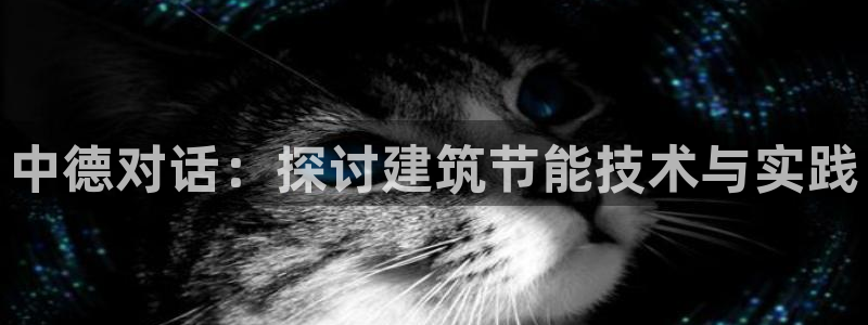 谁知道e尊国际的网址：中德对话：探讨建筑节能技术与实践