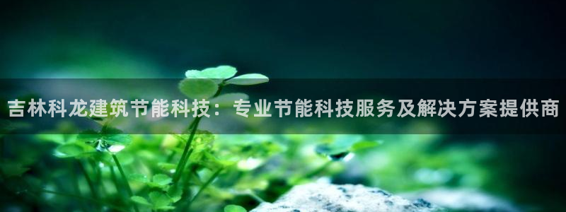 e尊国际娱乐官网地址：吉林科龙建筑节能科技：专业节能科技服务及解决方案提供商