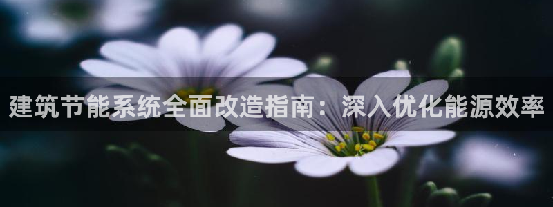 e尊电竞：建筑节能系统全面改造指南：深入优化能源效率