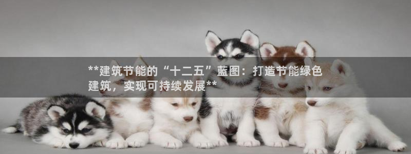 e尊国际7779：**建筑节能的“十二五”蓝图：打造节能绿色
建筑，实现可持续发展**
