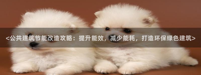 e尊国际是个黑网：<公共建筑节能改造攻略：提升能效，减少能耗，打造环保绿色建筑>