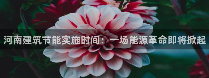 e尊国际网址：河南建筑节能实施时间：一场能源革命即将掀起