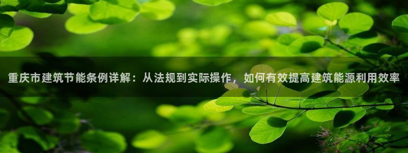 e尊国际的手机登录网站：重庆市建筑节能条例详解：从法规到实际操作，如何有效提高建筑能源利用效率