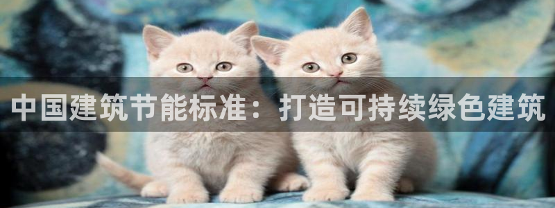 尊亿游戏国际官网：中国建筑节能标准：打造可持续绿色建筑