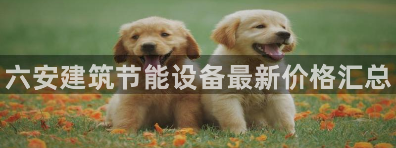 e尊国际-可可计划：六安建筑节能设备最新价格汇总
